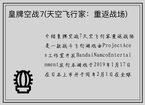 皇牌空战7(天空飞行家：重返战场)